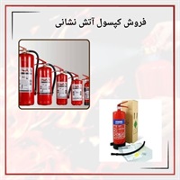 فروش کپسول آتش نشانی در بازار ایران