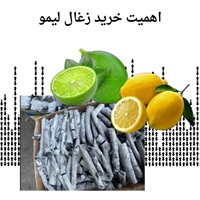 نکات مهم در خرید و فروش زغال لیمو جهرم